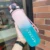 1000ml