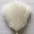 white G1956B