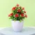 1pc red