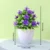 1pc purple