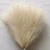 Beige G1956A