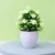 1pc white