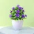 1pc purple