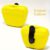 lemon Yellow