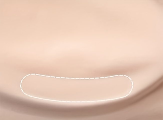 Ultra-Comfy Wireless Push-Up Mesh Bra - Breathable, Sweat-Wicking, Adjustable Straps, Soft Padded Cups, Everyday Essential for Womens Lingerie & Underwear