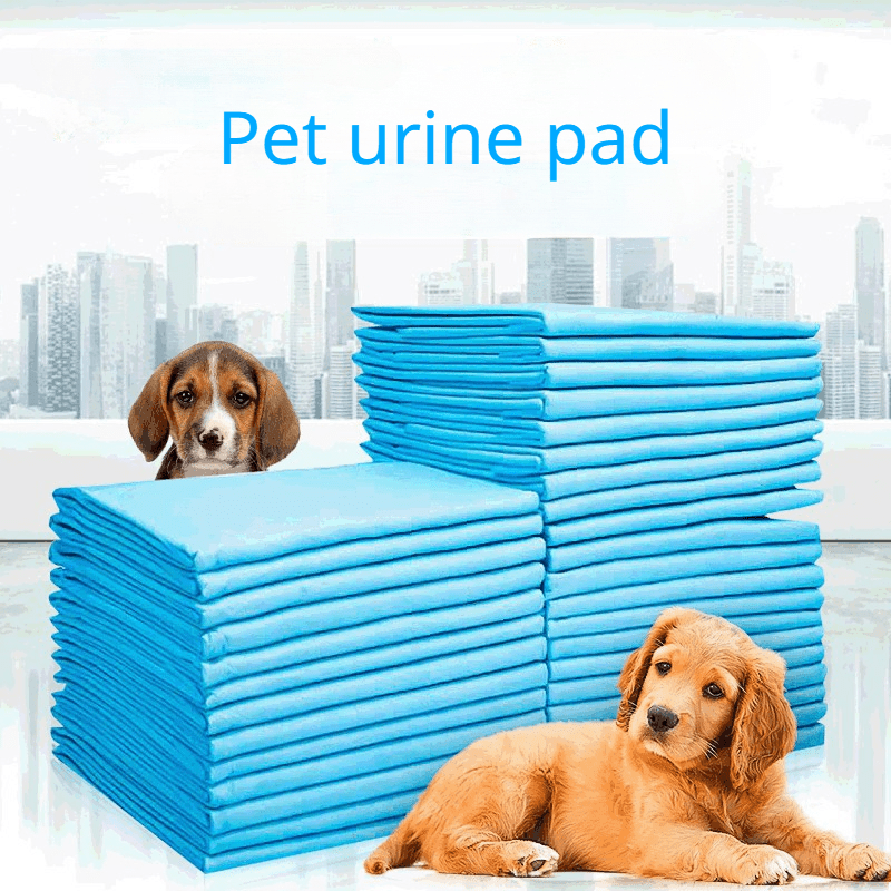 20pcs Disposable Dog Pee Pads, Highly Absorbent Dog Potty Training Pads, Odor Control Dog Diaper Pads