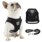 Pet Products