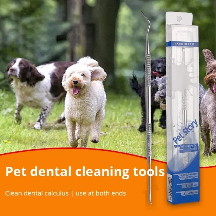 kf-S0f132ed4596a4a06a88ed795592dab32r Pet Dog Tooth Cleaner Tartar Removers Scraper Dental Pen Stainless Steel Pet Puppy Mouth Breath Fresher Oral Cleaning Tool - Image 2