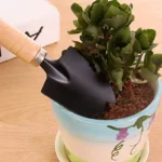 3Pcs/Set Mini Garden Tool Set For Garden Plants Flower Pot Cactus Vegetables Digging Weeding Indoor Small Plants Garden Tools - Image 4