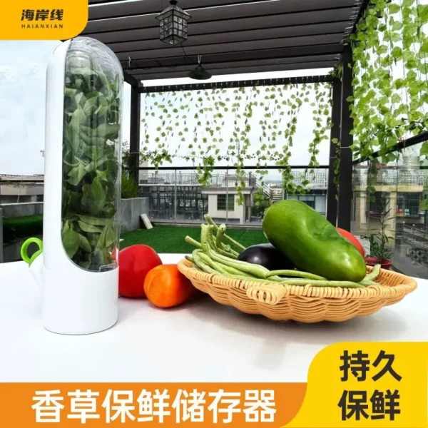 Cross-border Vanilla Vegetable Fresh-keeping Box Dust-proof Anti-pressure Environmental Protection Fresh-keeping Device Creative - Image 2
