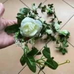 1Pcs 2.2M Artificial White Flower Fake Hanging Fake Vine Plants Leaves Artificials Garland Flowers Wedding Decoration - Image 4