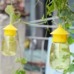 Plastic Fruit Fly Trap Killer Drosophila Trap Anti Fly Fruit Fly Killer Catcher Orchard Insect Trap Pest Control Fly Bee Trap - Image 5