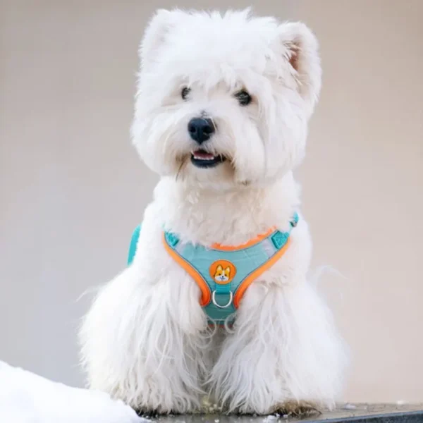 Adjustable No Pull Pet Reflective Dog Harness Lead Walking Running Leashes Cat Chest Strap Vest Leash - Image 2