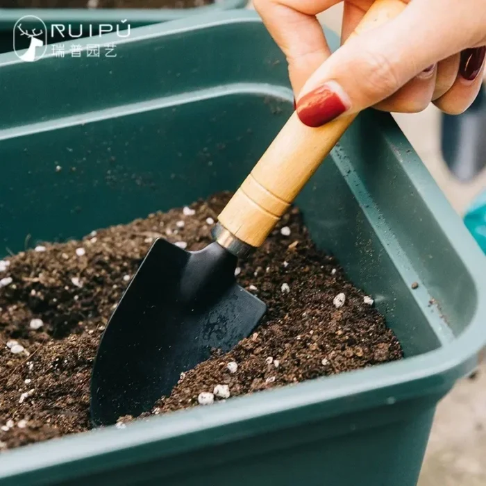 kf-S44632fbe2dea449dbfb39c727da4b590P 3Pcs/Set Mini Garden Tool Set For Garden Plants Flower Pot Cactus Vegetables Digging Weeding Indoor Small Plants Garden Tools - Image 3