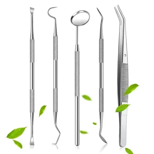 Stainless Steel Dentist Oral Tools Cleaning Flossing Tartar Removal Easy to Clean Not Easy to Break Dental Oral Mirror Care Kit - Image 4