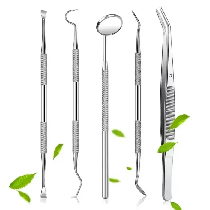 kf-S5907476691eb40538a810446c86a1f10K Stainless Steel Dentist Oral Tools Cleaning Flossing Tartar Removal Easy to Clean Not Easy to Break Dental Oral Mirror Care Kit - Image 4