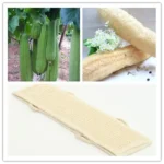 1pc Natural Soft Exfoliating Loofah Body Skin Health Cleaning Tool Bath Shower Unisex Massage Spa Scrubber Sponge Back Strap - Image 2