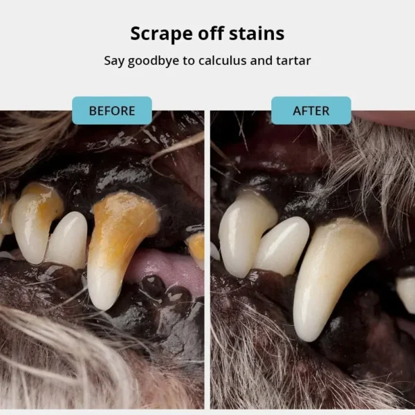 Pet Dog Tooth Cleaner Tartar Removers Scraper Dental Pen Stainless Steel Pet Puppy Mouth Breath Fresher Oral Cleaning Tool - Image 3