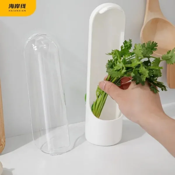 Cross-border Vanilla Vegetable Fresh-keeping Box Dust-proof Anti-pressure Environmental Protection Fresh-keeping Device Creative - Image 3