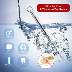 Portable Titanium Toothpicks Pocket Toothpicks Keychain Silver with Metal Toothpick Holder for Outdoor Picnic Camping Accessorie