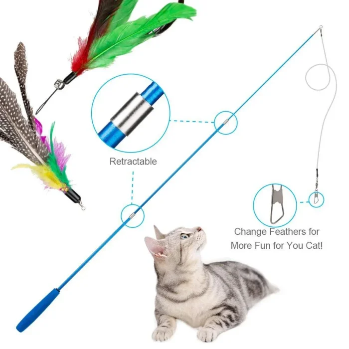 kf-S8b5e28f381cf454eb07e11d0a417f73el 11pcs Replacement Cat Feather Toy Set Feather Replacement Head Retractable Cat Stick Cat Products - Image 3