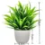 1pc Spring grass