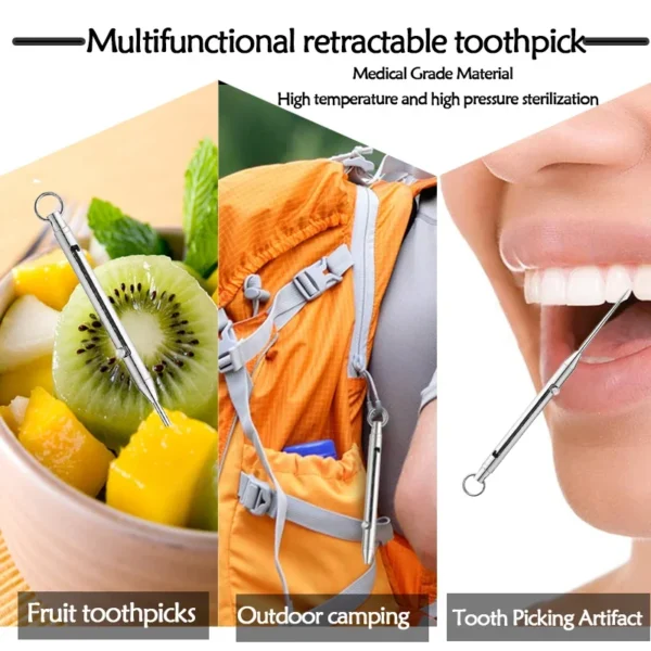 Portable Titanium Toothpicks Pocket Toothpicks Keychain Silver with Metal Toothpick Holder for Outdoor Picnic Camping Accessorie - Image 3
