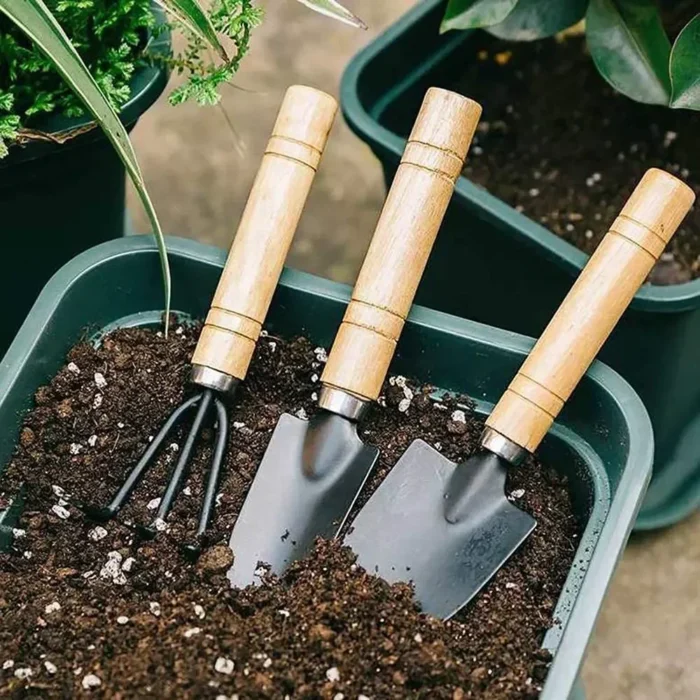 kf-Scd8e87966a2e4e8ba24773083a9ee715P 3Pcs/Set Mini Garden Tool Set For Garden Plants Flower Pot Cactus Vegetables Digging Weeding Indoor Small Plants Garden Tools - Image 1