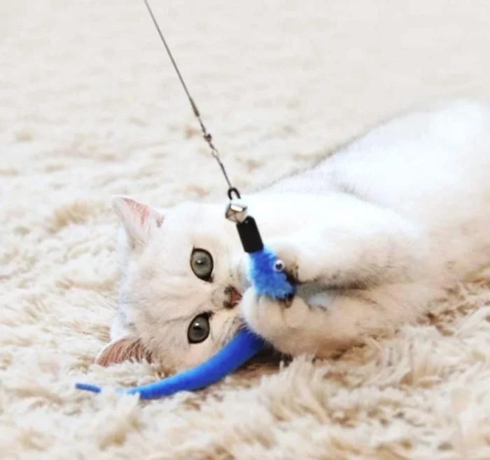 kf-Sd76232bac99f414aa3dc5444d1c2c3dft 11pcs Replacement Cat Feather Toy Set Feather Replacement Head Retractable Cat Stick Cat Products - Image 5
