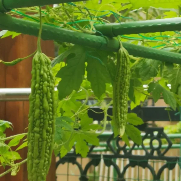 1 Roll 100M Multifunctional Plastic Steel Twist Tie Sturdy Reusable Garden Flower Plant Support Strap Tie - Image 3