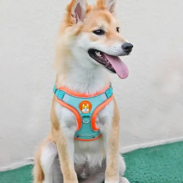 Adjustable No Pull Pet Reflective Dog Harness Lead Walking Running Leashes Cat Chest Strap Vest Leash - Image 3