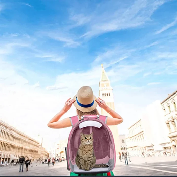 kf-S15d6d03fa2d049748755b9a238bf064dZ Cat Pet Carrier Backpack Transparent Capsule Bubble Pet Backpack Small Animal Puppy Kitty Bird Breathable Pet Carrier for Travel - Image 6