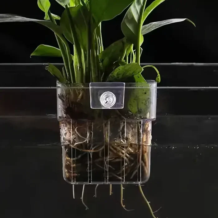 kf-S16c5073230e54535b0c3a5c238bbf915L 1PC Hydroponic Planting Cup Household Water Grass Planting Cup Wall Mounted High Transparent Fish Tank Landscape Decoration - Image 5