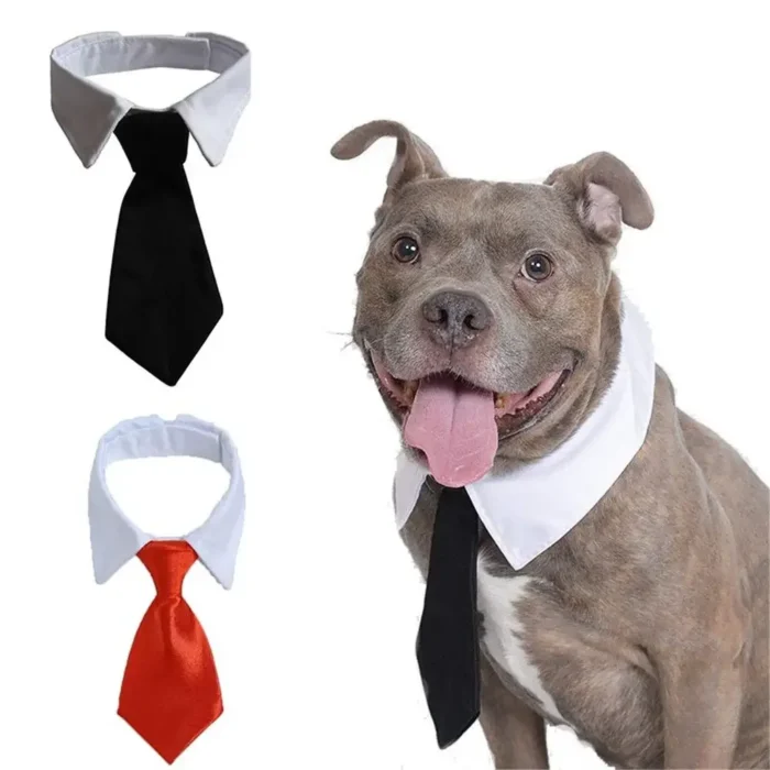 kf-S65f706c45dbb40418a01ea64e6f98398R Pet Dog Cat Formal Necktie Tuxedo Bow Tie Black and Red Collar for Dog & Cat Pet Accessories for Wedding Holiday and Party Gift - Image 3