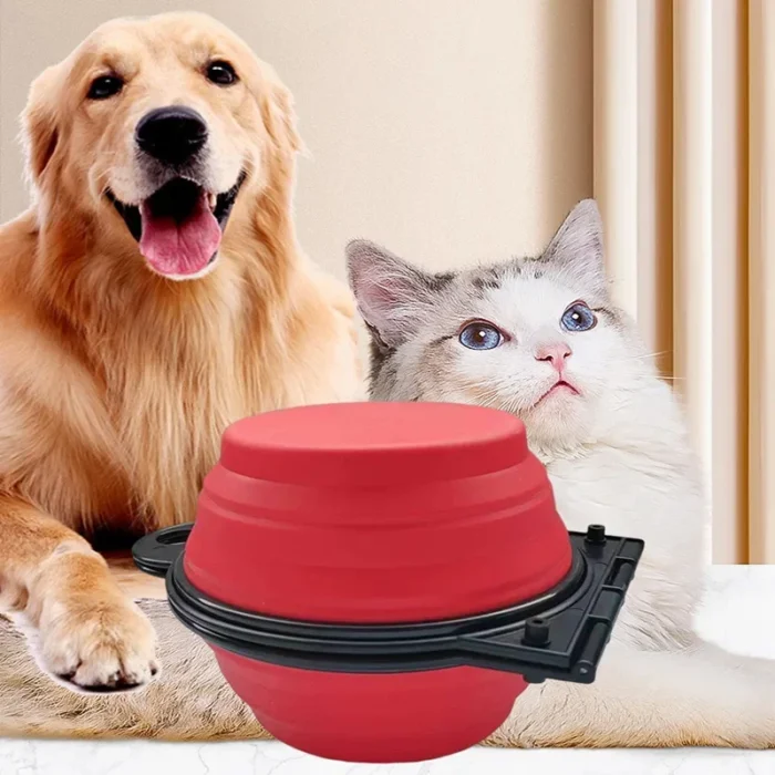 kf-Sab487af08a7344c7bf18ea96e8f63901n 1-piece 2-in-1 foldable dual bowl feeding bowl portable outdoor travel dog and cat drinking bowl - Image 2