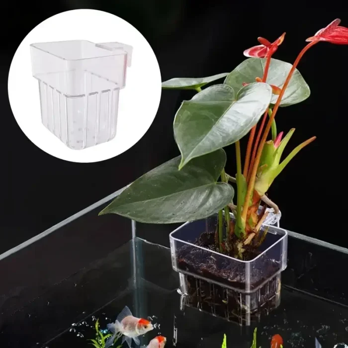 kf-Sf132825b9de8460e86a237d3b61bc3abI 1PC Hydroponic Planting Cup Household Water Grass Planting Cup Wall Mounted High Transparent Fish Tank Landscape Decoration - Image 2