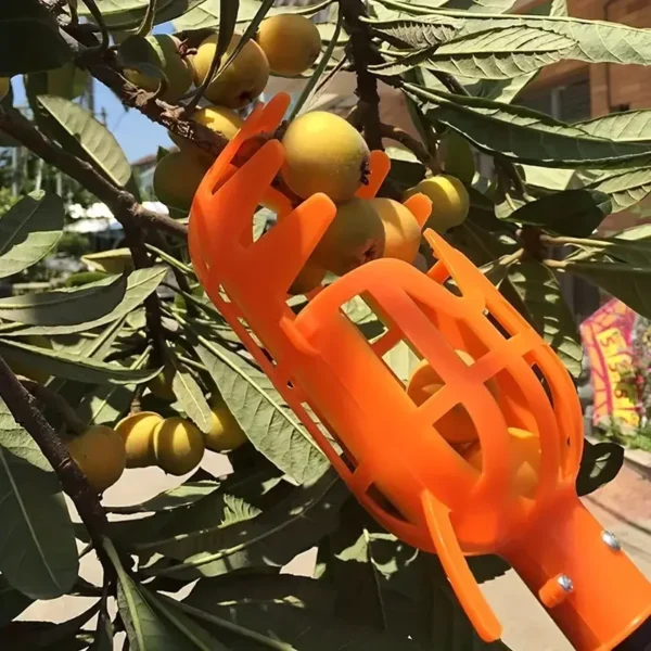 1PC High-Altitude Fruit Picker, Plastic Garden Harvesting Tool for Loquat, Bayberry, Peach, Plum & Jujube - Image 7