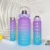 2L 900ml 300ml