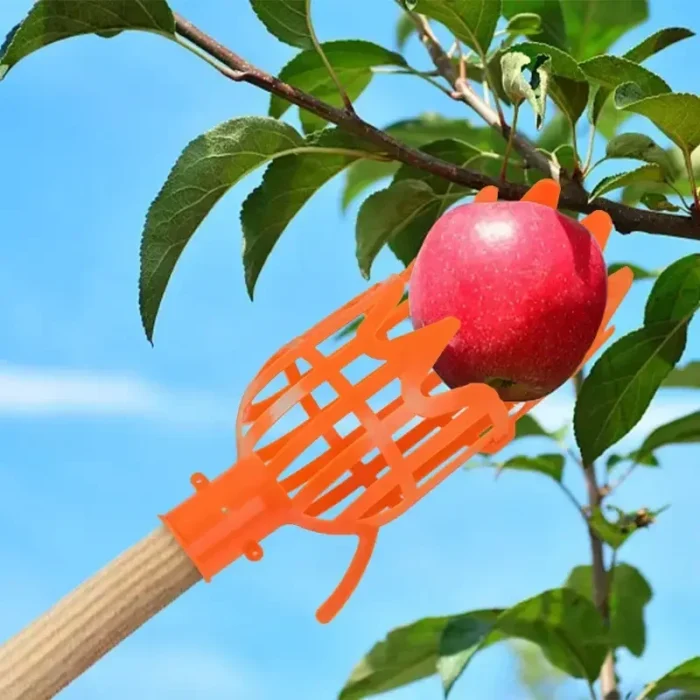 kf-S7665a2c1b93c46e294e161bf6b7ba1b4I 1PC High-Altitude Fruit Picker, Plastic Garden Harvesting Tool for Loquat, Bayberry, Peach, Plum & Jujube - Image 2