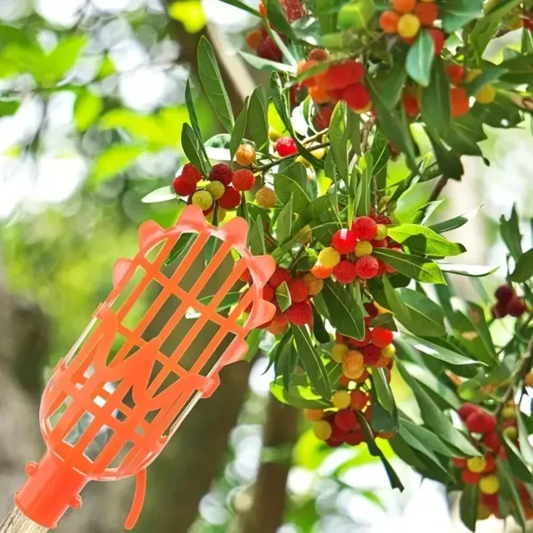 1PC High-Altitude Fruit Picker, Plastic Garden Harvesting Tool for Loquat, Bayberry, Peach, Plum & Jujube - Image 6