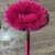 Magenta large