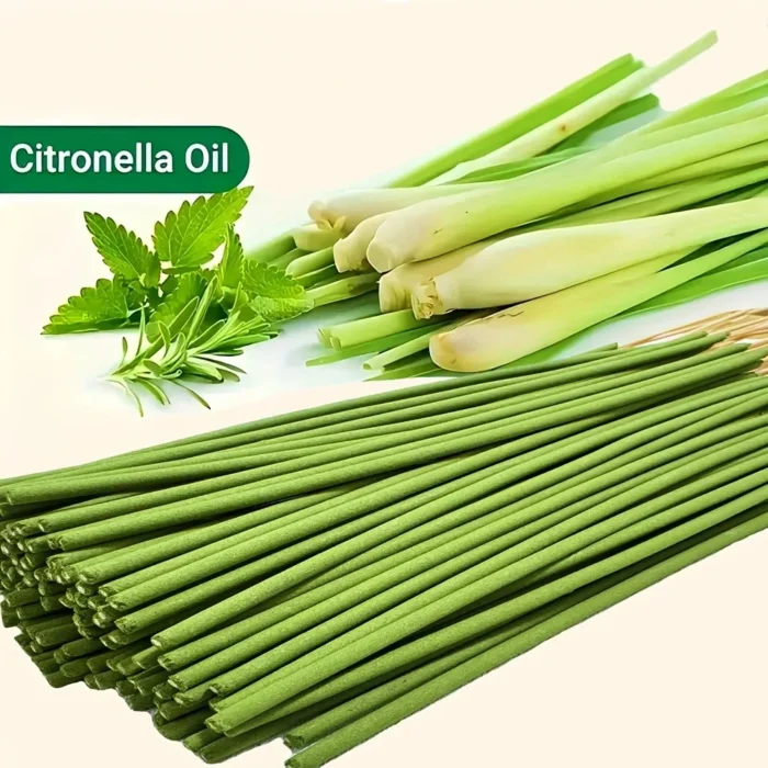 kf-Sc41e5688dc434014afa731bf6bdc5ca6L 45 Min Burn Citronella Incense Sticks Lemongrass Scent Air Purifying for Camping Patio Holiday Decor Halloween Christmas Easter - Image 6