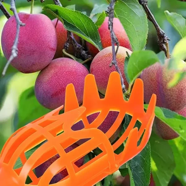 1PC High-Altitude Fruit Picker, Plastic Garden Harvesting Tool for Loquat, Bayberry, Peach, Plum & Jujube - Image 3