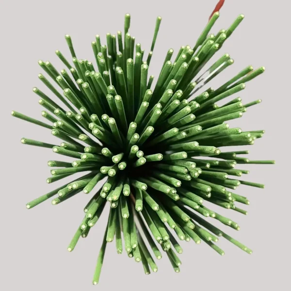 45 Min Burn Citronella Incense Sticks Lemongrass Scent Air Purifying for Camping Patio Holiday Decor Halloween Christmas Easter - Image 5