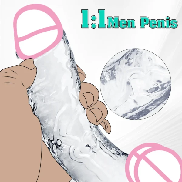 Soft Jelly Dildo Different Sizes Transparent Realistic Fake Dick Penis with Suction Cup G Spot Vagina Massage Sex Toy for Women - Image 3