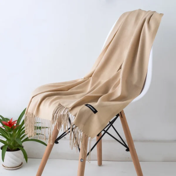 Autumn Winter Women Cashmere Scarf Luxury Brand Female Warm Shawls Wraps 2021 Pashmina Solid Men Long Tassels Scarves Foulard - Image 3