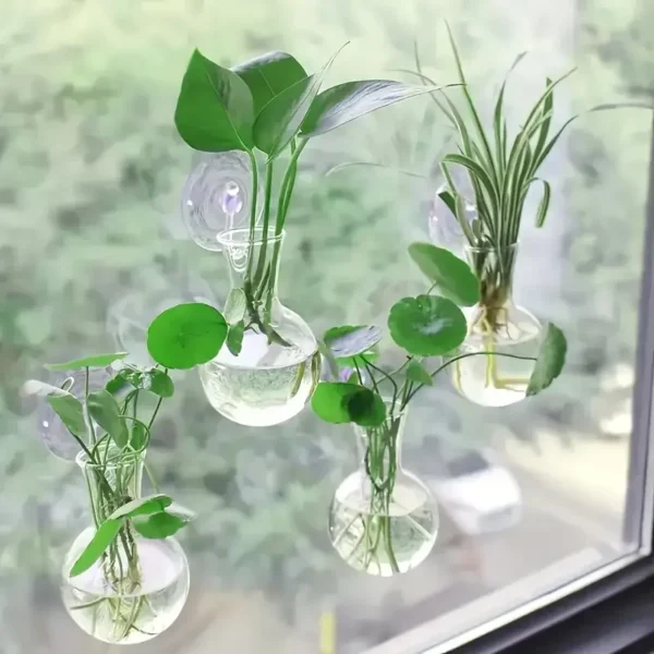 kf-S1f5e444c60d741f4871059bc07cc2660S Creative Semi Circular Class Wall Mounted Vase Flower Plate Plant Hydroponic Aquarium Wall Fish Tank Aquarium Home Decoration - Image 1