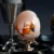 The Egg Cup