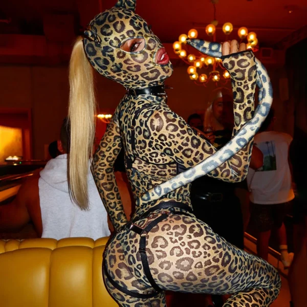 Ellolace Sexy Clothes Women Lingerie Hot Cosplay Hollow Out Leopard Long Sleeve Pants Set Fetish Party Costume with Headgear Kit - Image 4