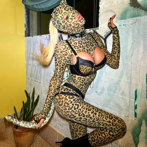 Ellolace Sexy Clothes Women Lingerie Hot Cosplay Hollow Out Leopard Long Sleeve Pants Set Fetish Party Costume with Headgear Kit - Image 3